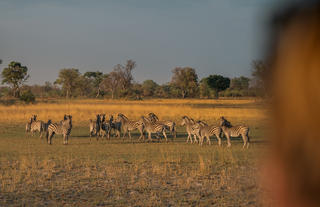 Karangoma - game drive