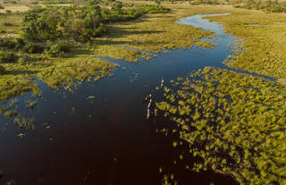 Karangoma - mokoro outing