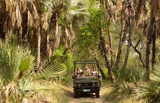 Game Drive Gorongosa