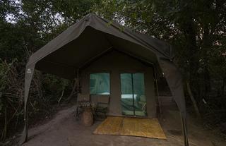 Tent Exterior