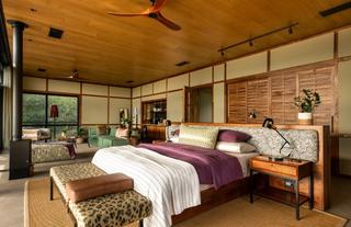 Safari Suite 