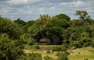 Bird's Nest Hide