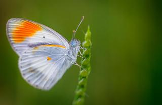 On Safari - TT Wildlife