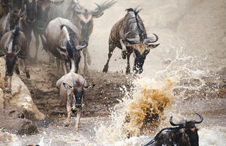 Splashing over the Mara