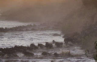 Dusty river crossing