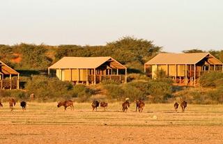Suricate Kalahari Tented Lodge
