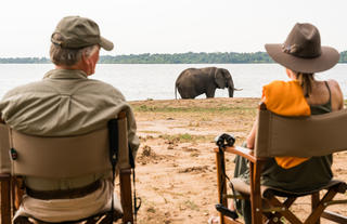 Elephants by the Camp