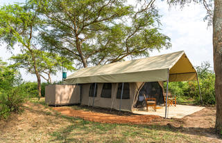 Safari Tents
