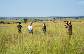 Bush Walks