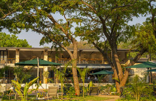 Waterfalls Lodge - Trees 