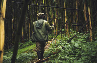 Walking in Mgahinga
