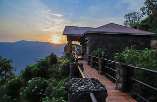 Sunrise over the forest suite