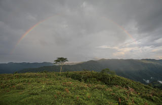 Nkuringo Bwindi Gorilla Lodge