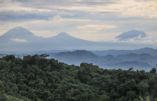 Nkuringo Bwindi Gorilla Lodge