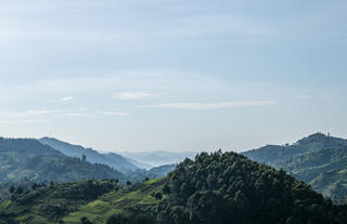 Bwindi Impenetrable Forest