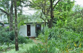 Subtropical Foliage