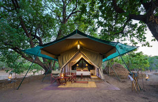 John's Camp