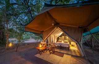 John's Camp