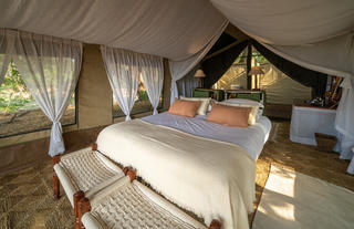 John's Camp