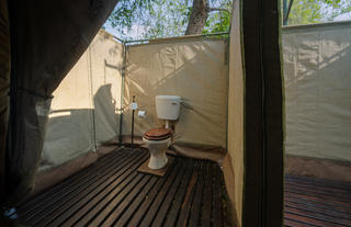 John's Camp