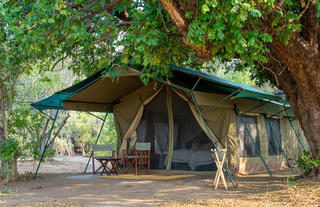 John's Camp