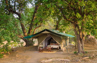 John's Camp