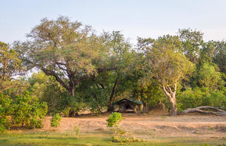 John's Camp