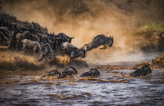 Sand River Masai Mara