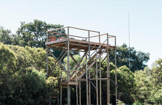Moditlo River Lodge Lookout tower
