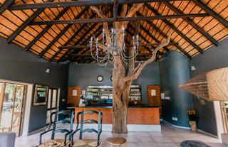 Moditlo River Lodge coffee bar