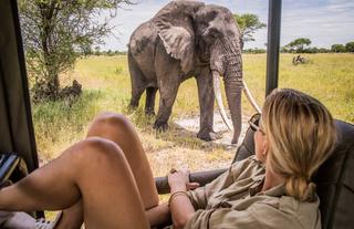 Slow safari with big tuskers