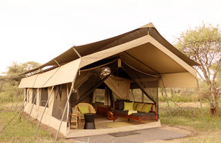 Serengeti North Wilderness Camp - tent exterior 