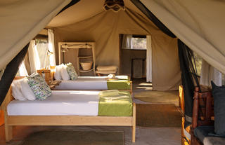Serengeti North Wilderness Camp -  twin tent
