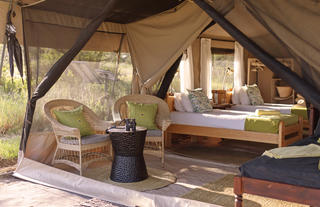Serengeti North Wilderness Camp - twin tent interior