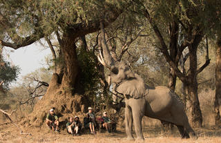 Stretch Ferreira Safaris - Goliath Camp