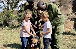Canine Demonstration