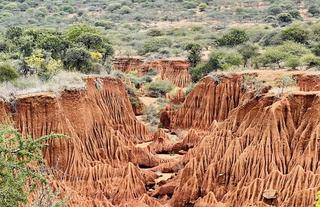 Canyon