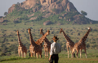 Guided Walks