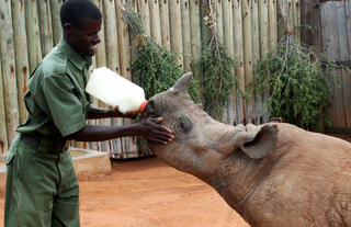 Wildlife Rescue Centre