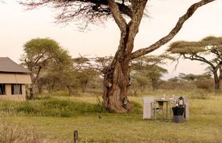 Ndutu Wilderness Camp 