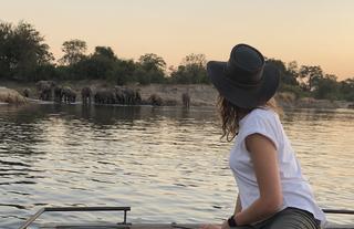 Elephant Sighting on the Zambezi 