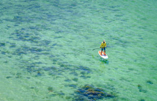 Camp Cuevas: Standup Paddleboarding