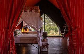 Family tent