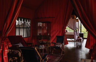 Family tent