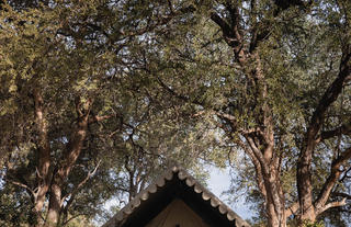 Guest tent exterior