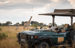 Wildlife