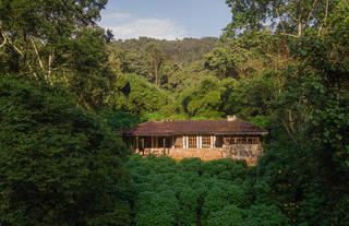 Bwindi Lodge 