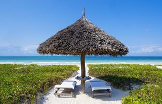 Beach Umbrellas