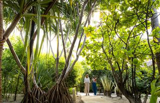 Garden Tour
