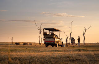 Safari Sundowners 